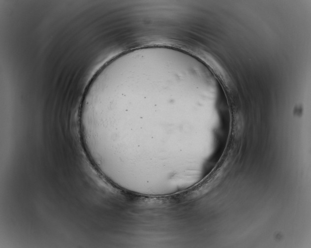 X0000101410806200807281024