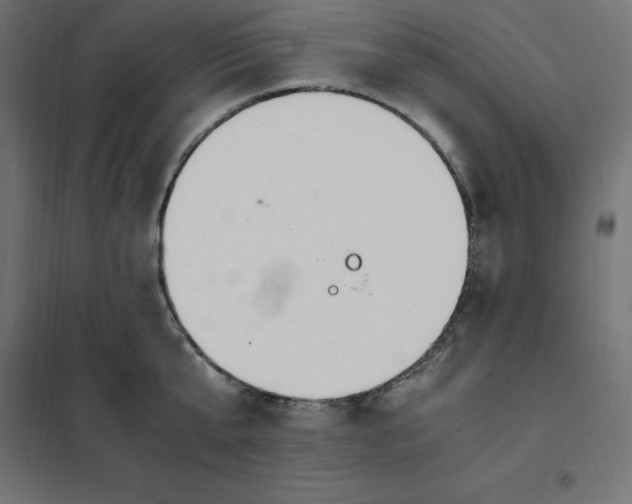 X0000101410807200807281024