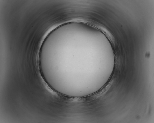 X0000101410808200807281024