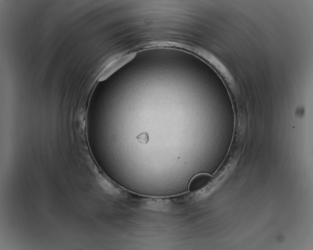 X0000101410809200807281024