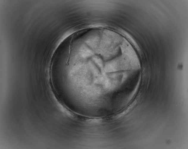 X0000101410810200807281024