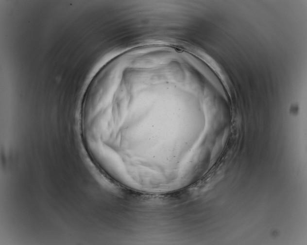 X0000101410811200807281024