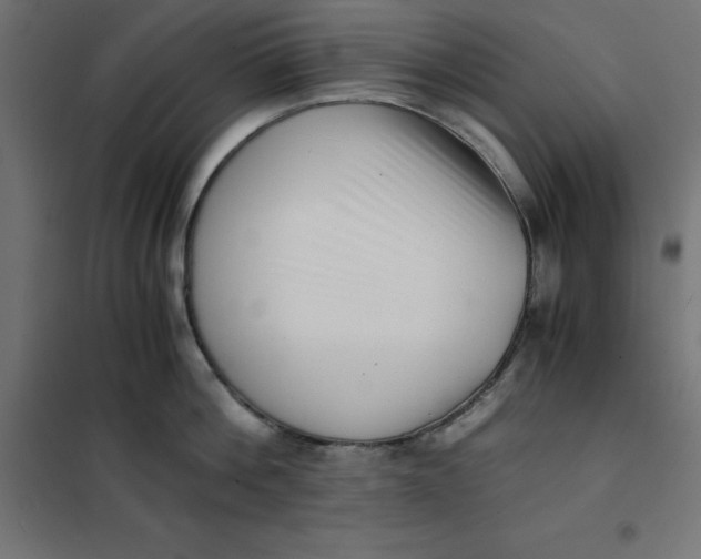 X0000101410812200807281024