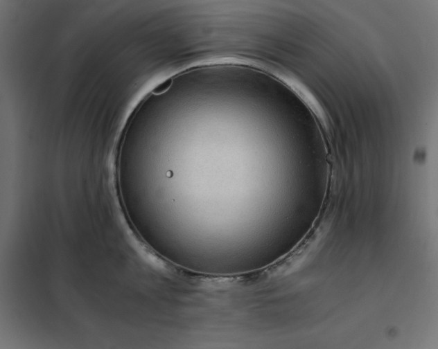 X0000101410813200807281024