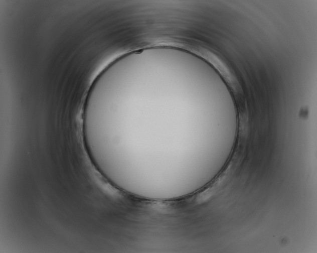 X0000101410814200807281024