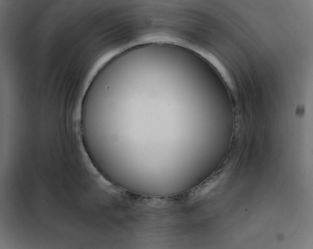 X0000101410815200807281024