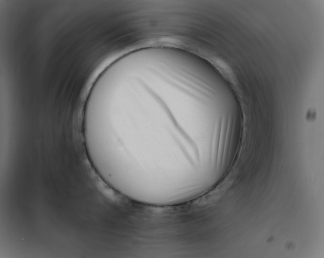 X0000101410816200807281024