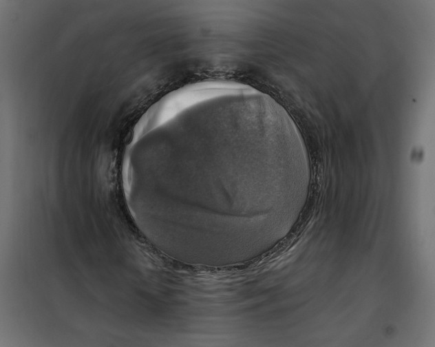 X0000101410818200807281023