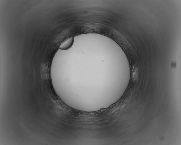 X0000101410819200807281023