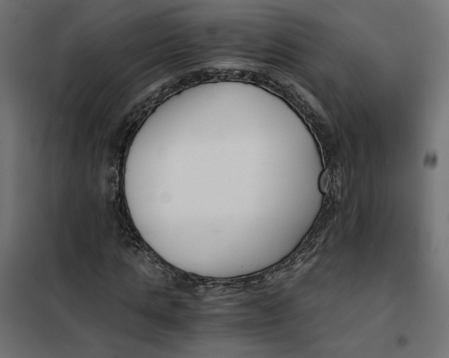 X0000101410821200807281023
