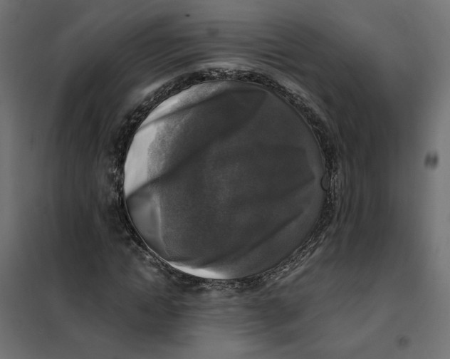 X0000101410822200807281023