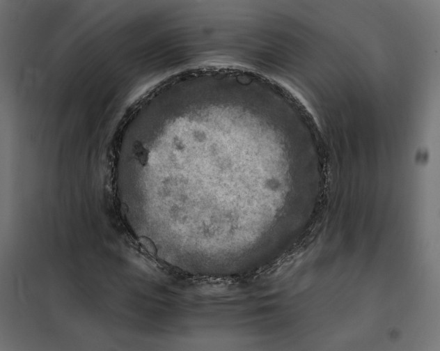 X0000101410823200807281023