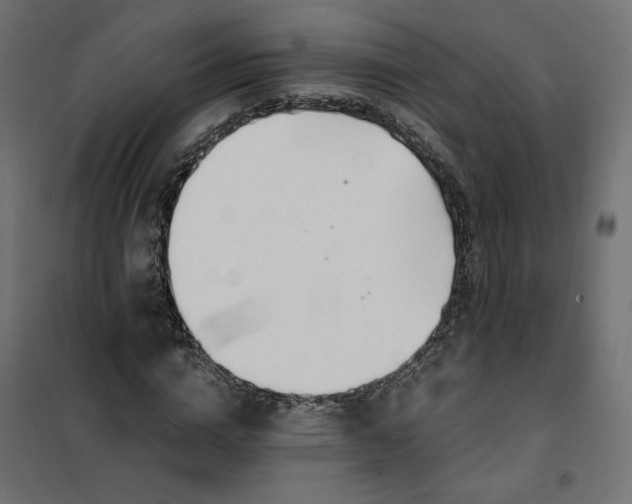 X0000101410824200807281023