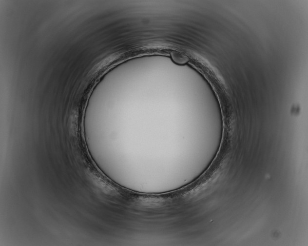 X0000101410825200807281023