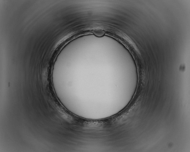 X0000101410826200807281023