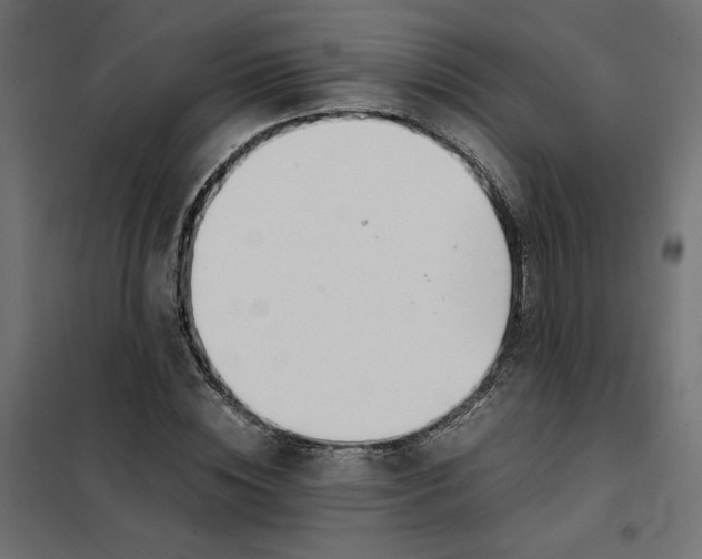 X0000101410828200807281023