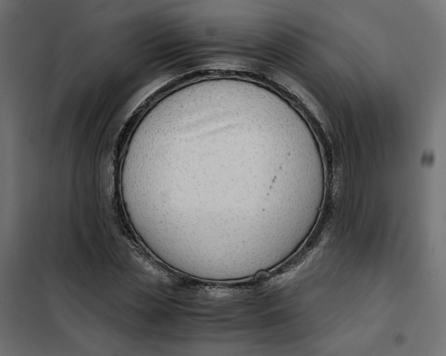 X0000101410829200807281023