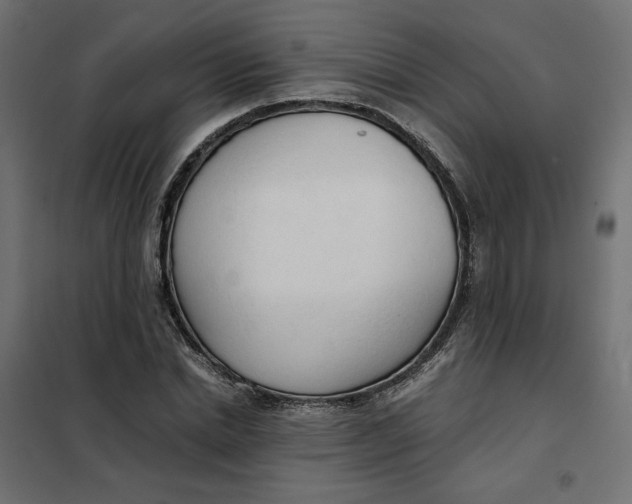 X0000101410830200807281023