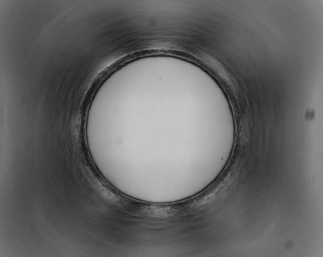 X0000101410831200807281024
