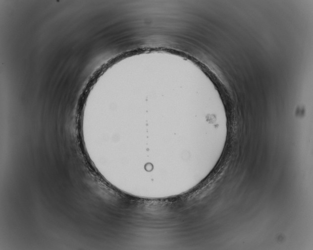 X0000101410832200807281024