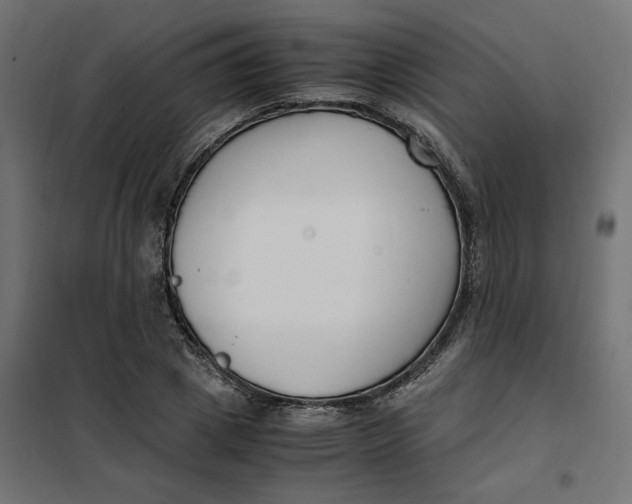 X0000101410833200807281024