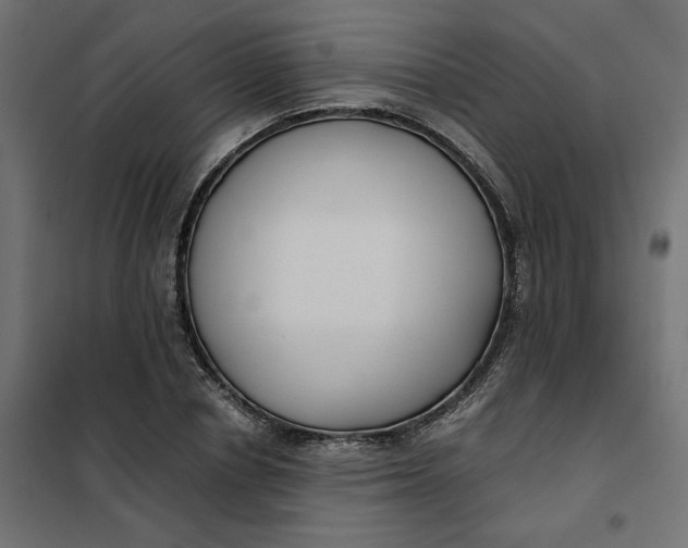 X0000101410834200807281024