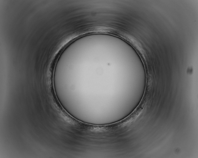 X0000101410835200807281024