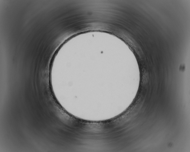 X0000101410836200807281024