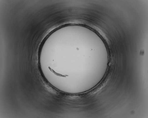 X0000101410837200807281024