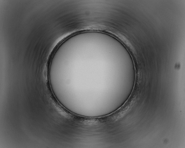 X0000101410838200807281024