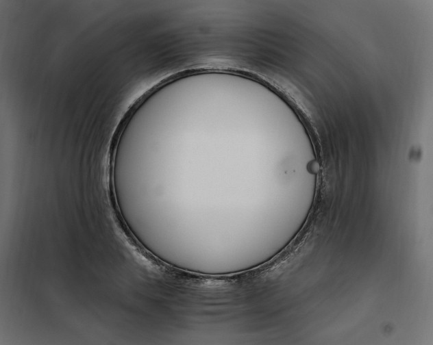 X0000101410839200807281024