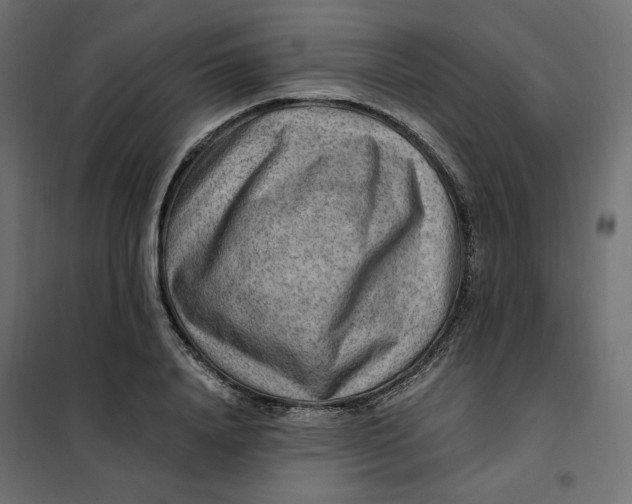 X0000101410840200807281024