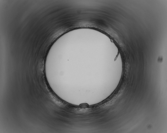 X0000101410841200807281024