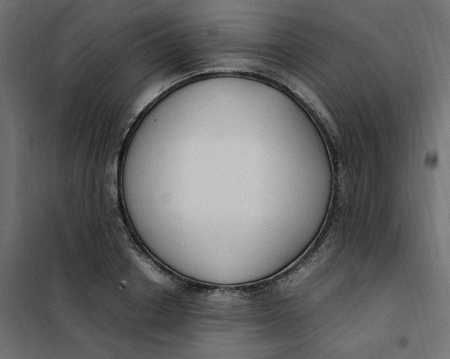 X0000101410842200807281024