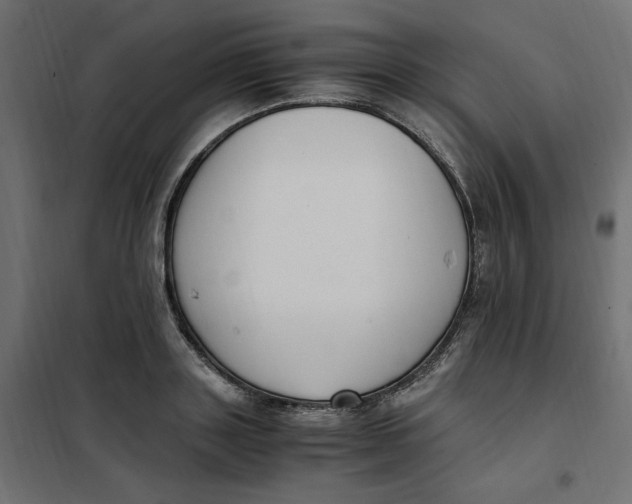 X0000101410843200807281024