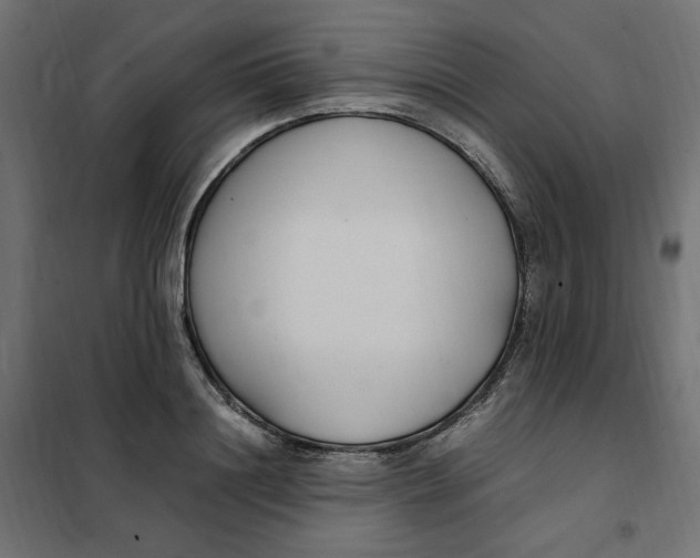 X0000101410844200807281024