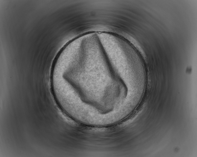 X0000101410845200807281024