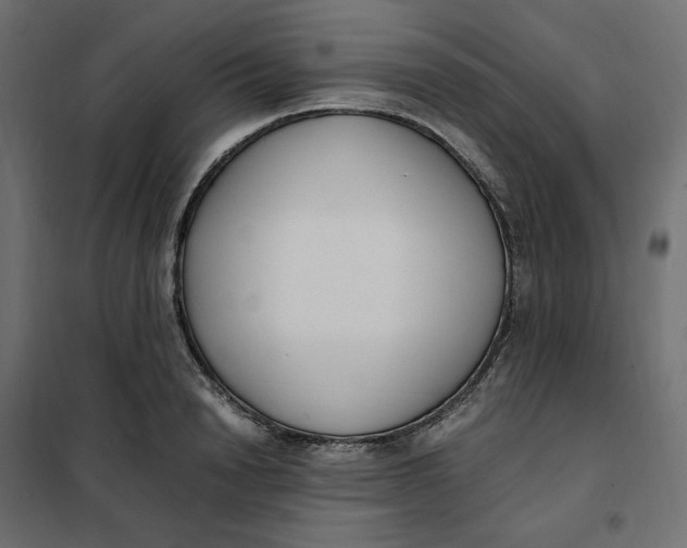 X0000101410846200807281024