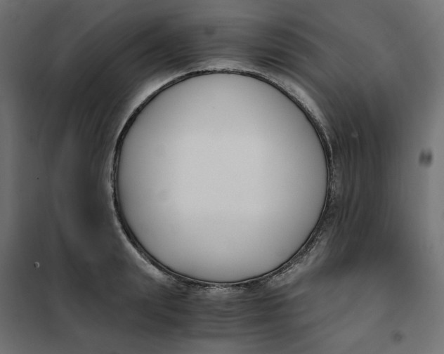 X0000101410847200807281024