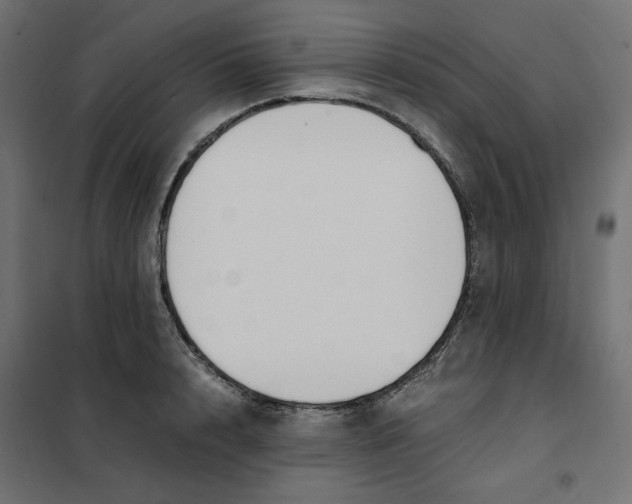 X0000101410848200807281024