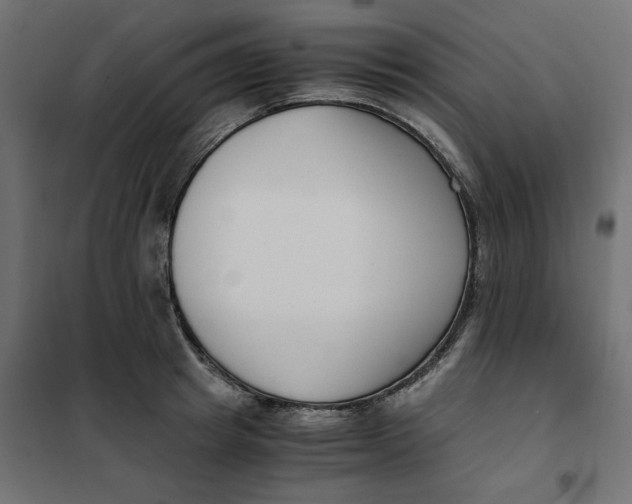 X0000101410849200807281024
