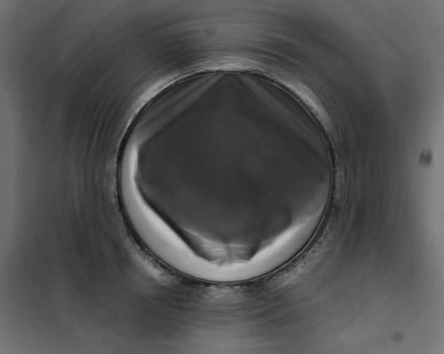 X0000101410850200807281024