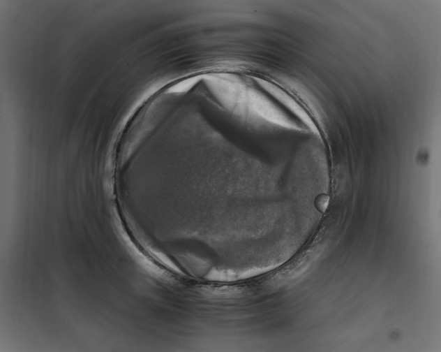 X0000101410851200807281024
