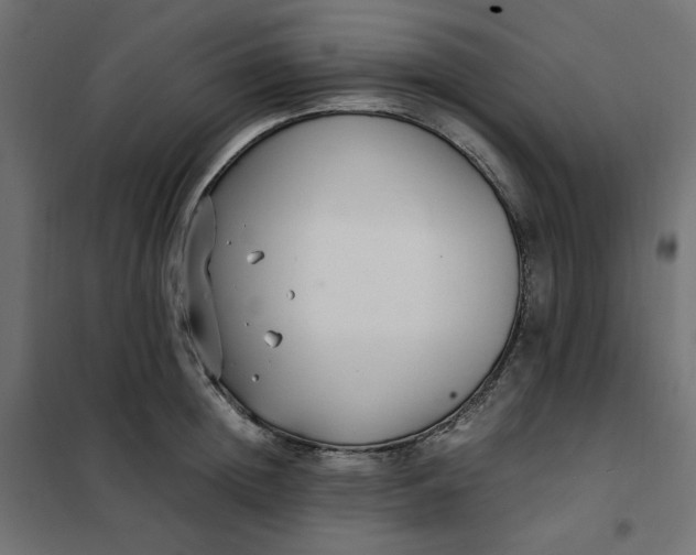 X0000101410852200807281024