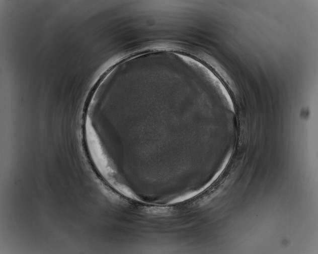 X0000101410853200807281024