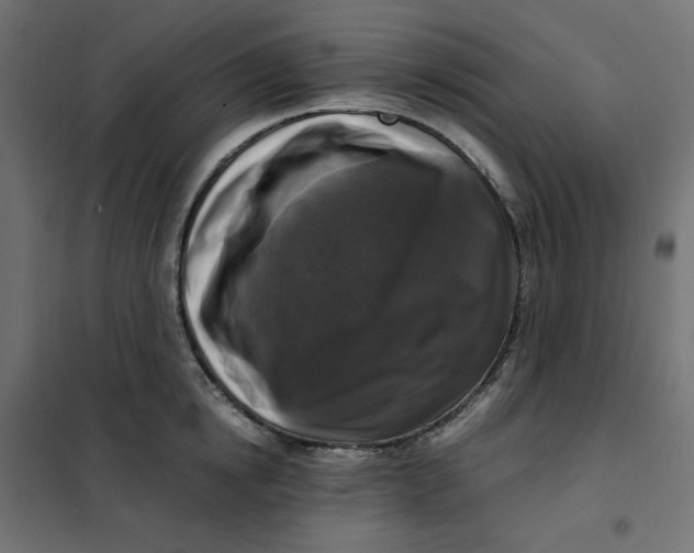 X0000101410854200807281024