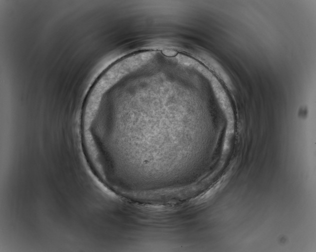 X0000101410855200807281024