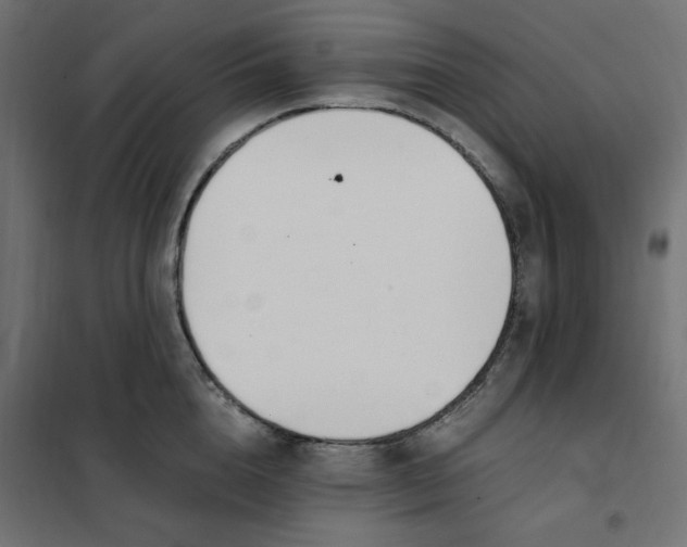 X0000101410856200807281024