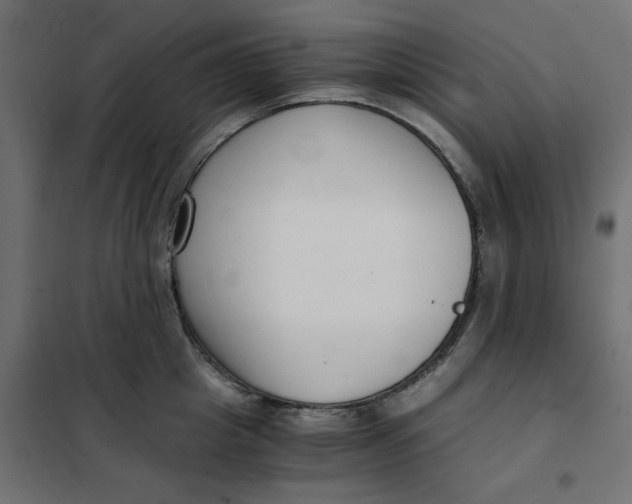 X0000101410857200807281024