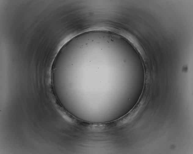 X0000101410858200807281024